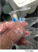 多樣品組織研磨儀研磨眼結膜提取rna實驗